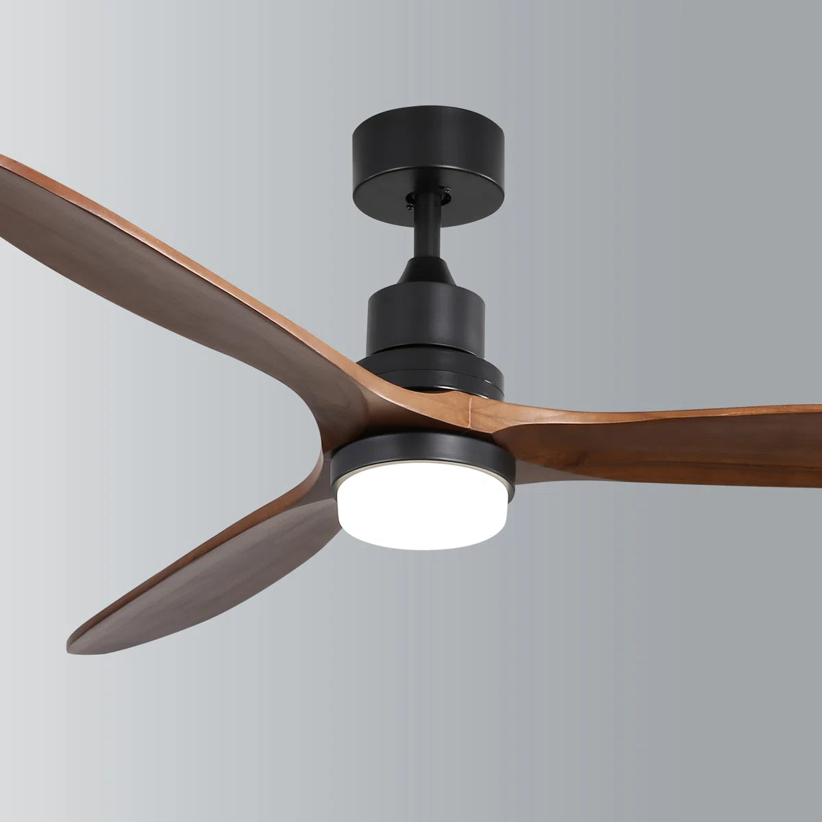 Nicola 60" 3-Blade Black Ceiling Fan With Led Light and Remote Control